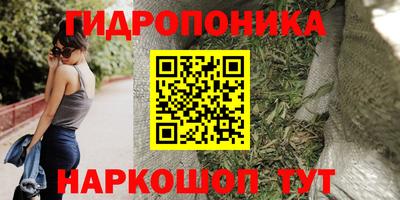 прущие грибы Беслан