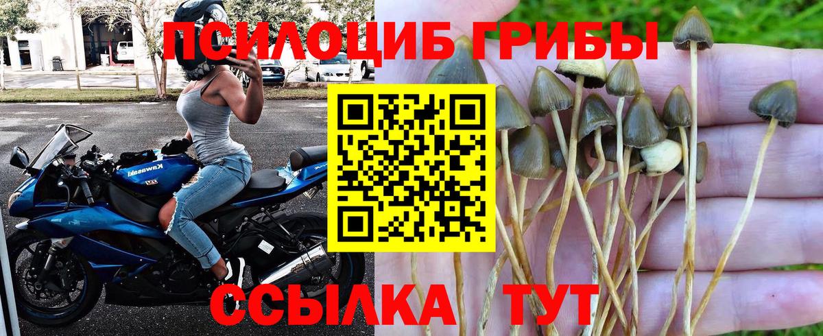 Галлюциногенные грибы мицелий Клин