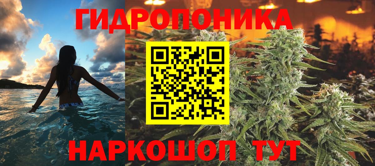 Канабис ГИДРОПОН Клин